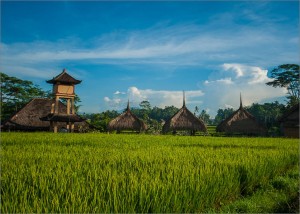 Around Ubud - Rice paddies, artsy villages, and a monkey forest