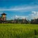 Ubud - Surrounding rice paddies