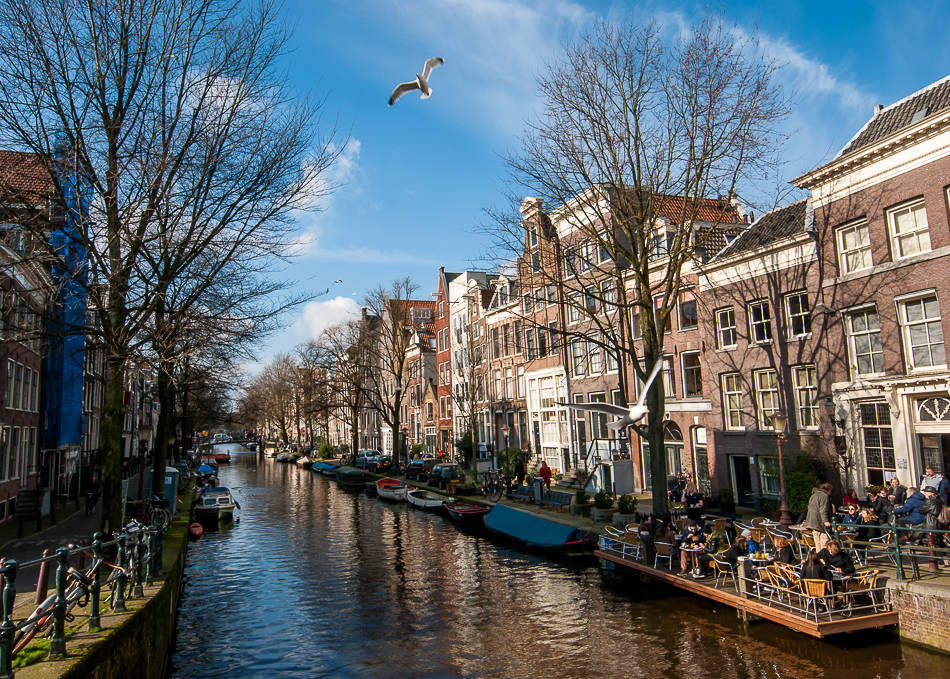 Jordaan Cafe - Amsterdam