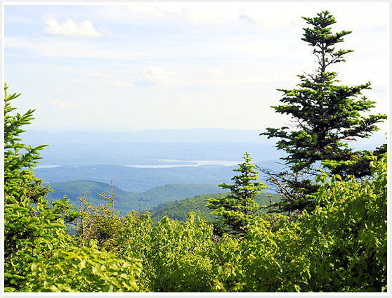 Catskill - Twin Mountain Summit