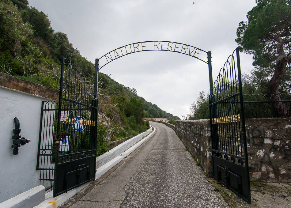 Nature Reserve - Gibraltar