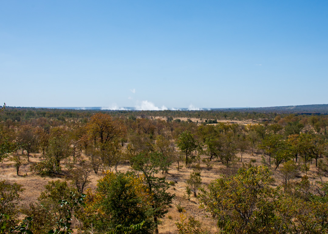 Elephant Camp - Zimbabwe