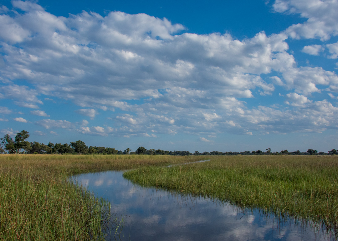 Boat Safari - Okavango Delta