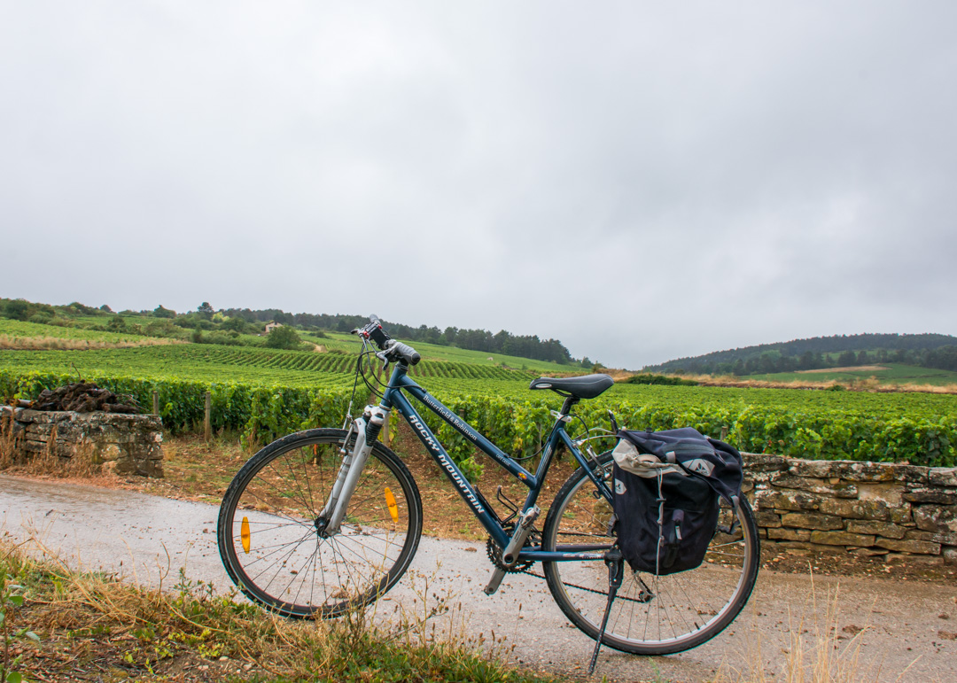 beaune bicycle tour