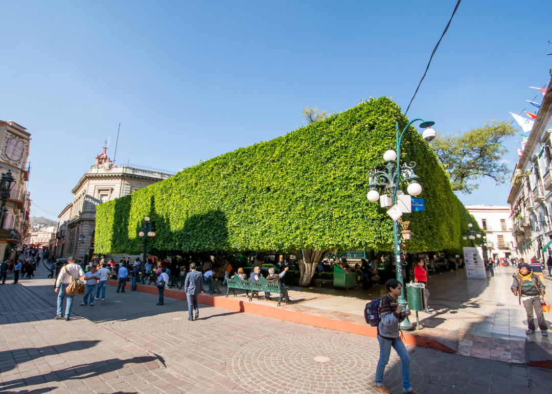 Guanajuato - Jardin de la Union