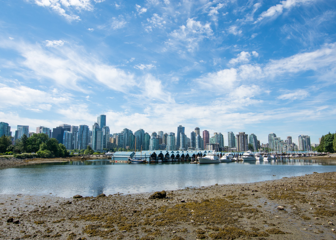 Stanley Park - Skyline View