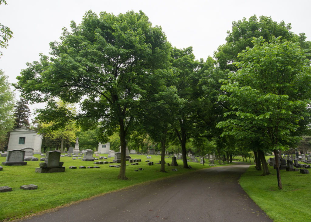 Forest Lawn Cemetery