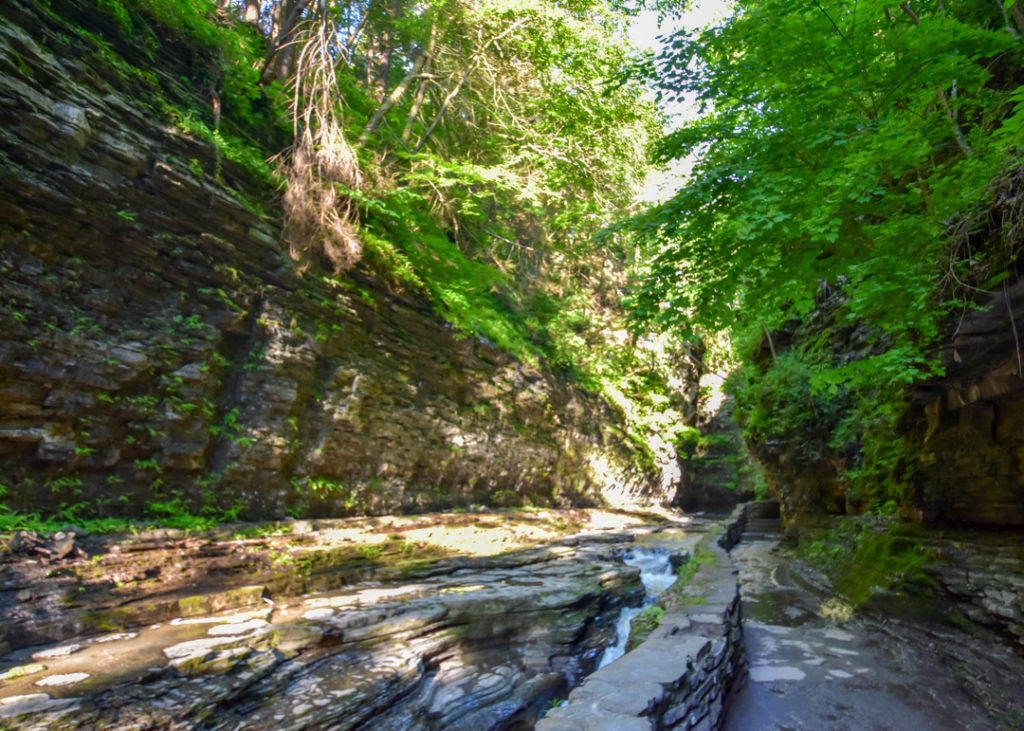 Watkins Glen Gorge Trail