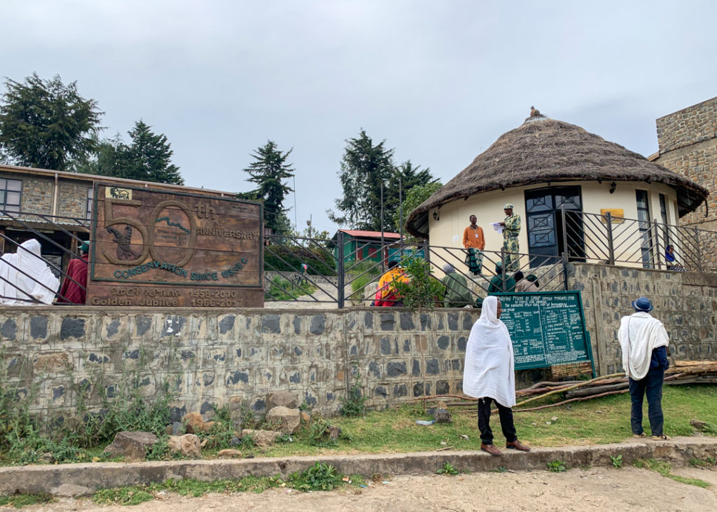 Debark in the Simien Mountains