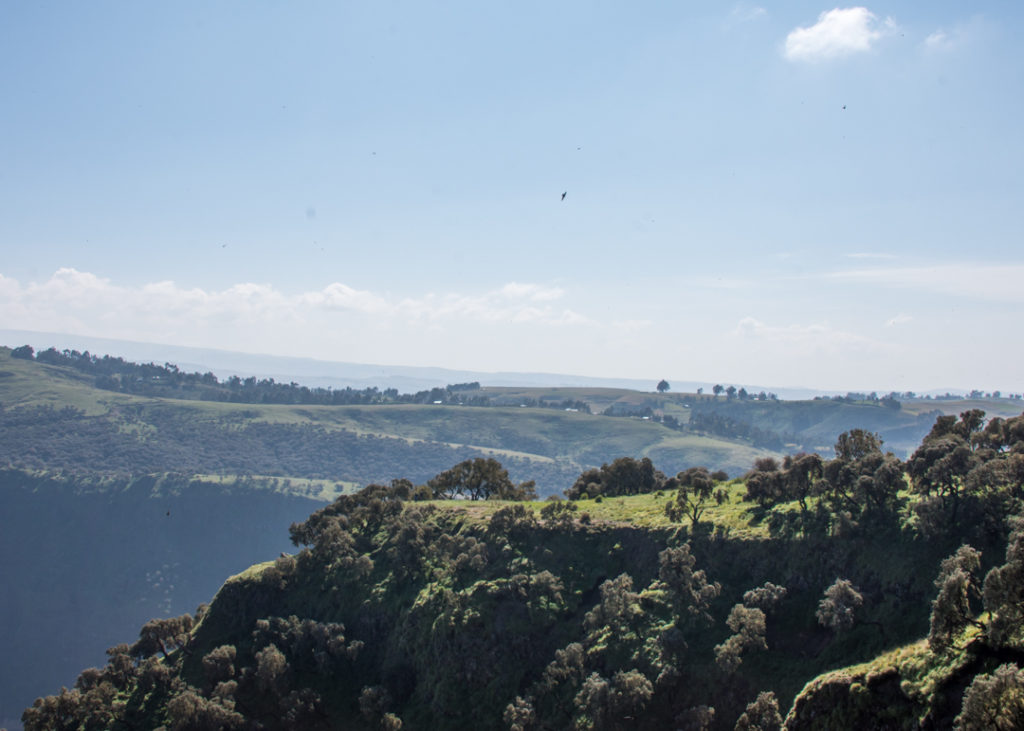 Ridge in Simien Mountains National Park