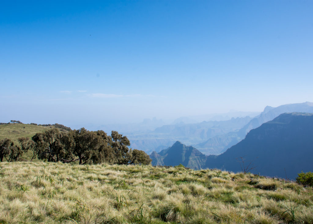 Morning hike at Simien Lodge