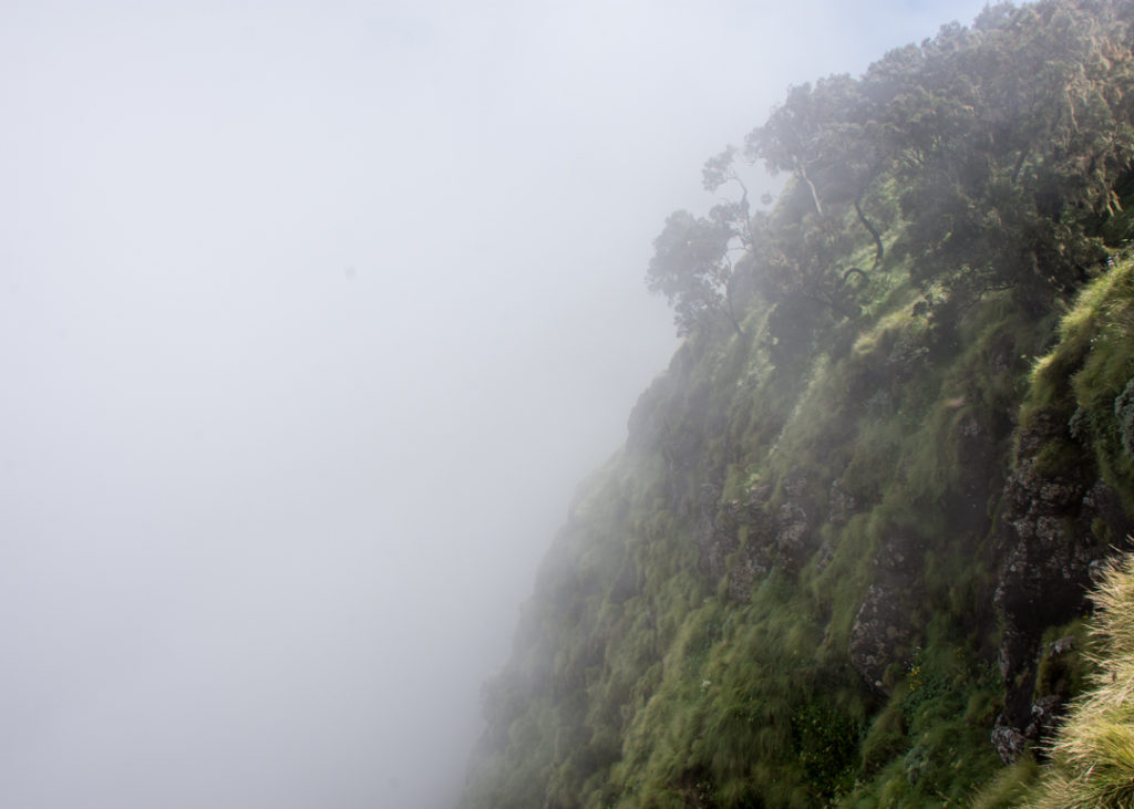 Mist in the Simien Mountains