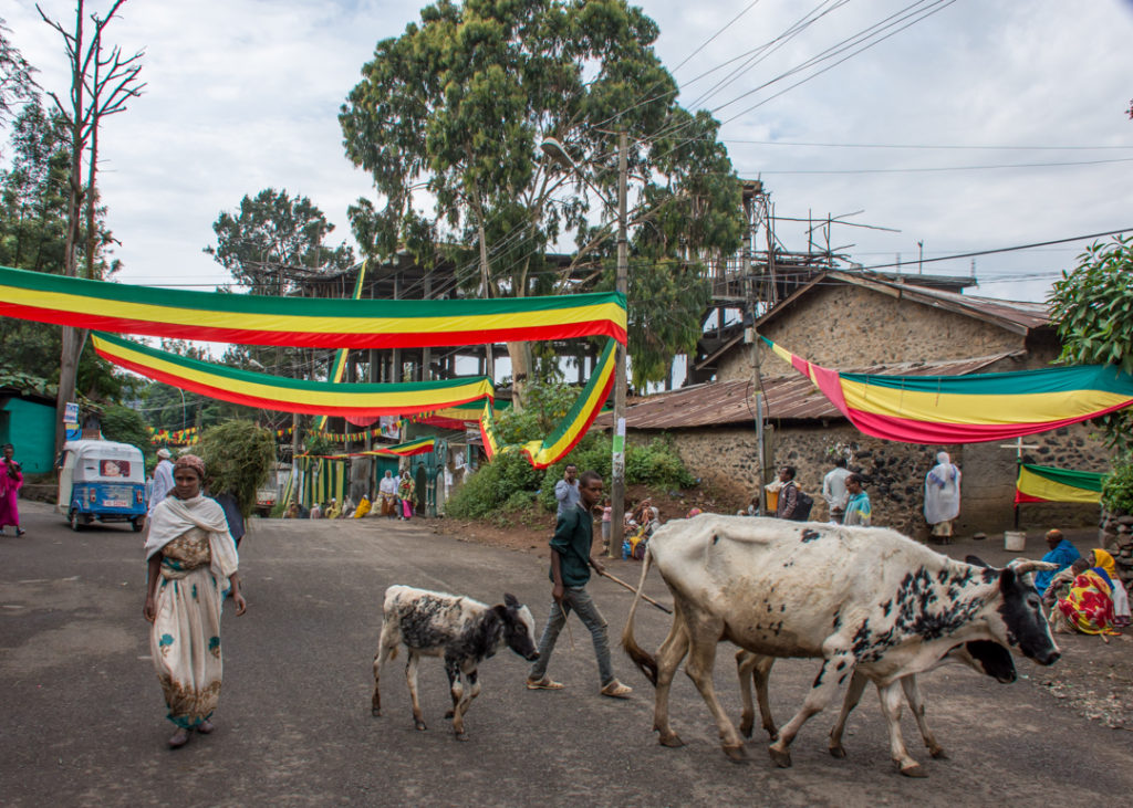Street in historic Gondar, Ethiopia