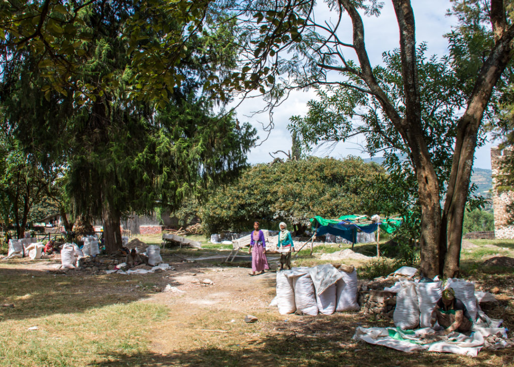 Workers in Fasil Ghebbi, Gondar