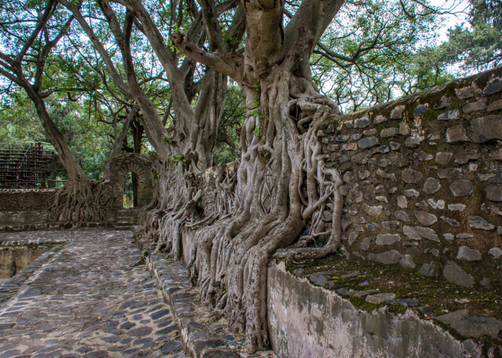 Fasiladas’ Bath in Gondar