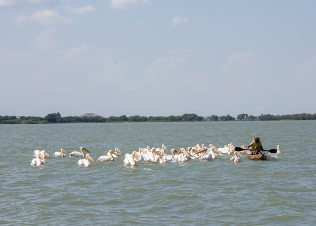 Lake Tana