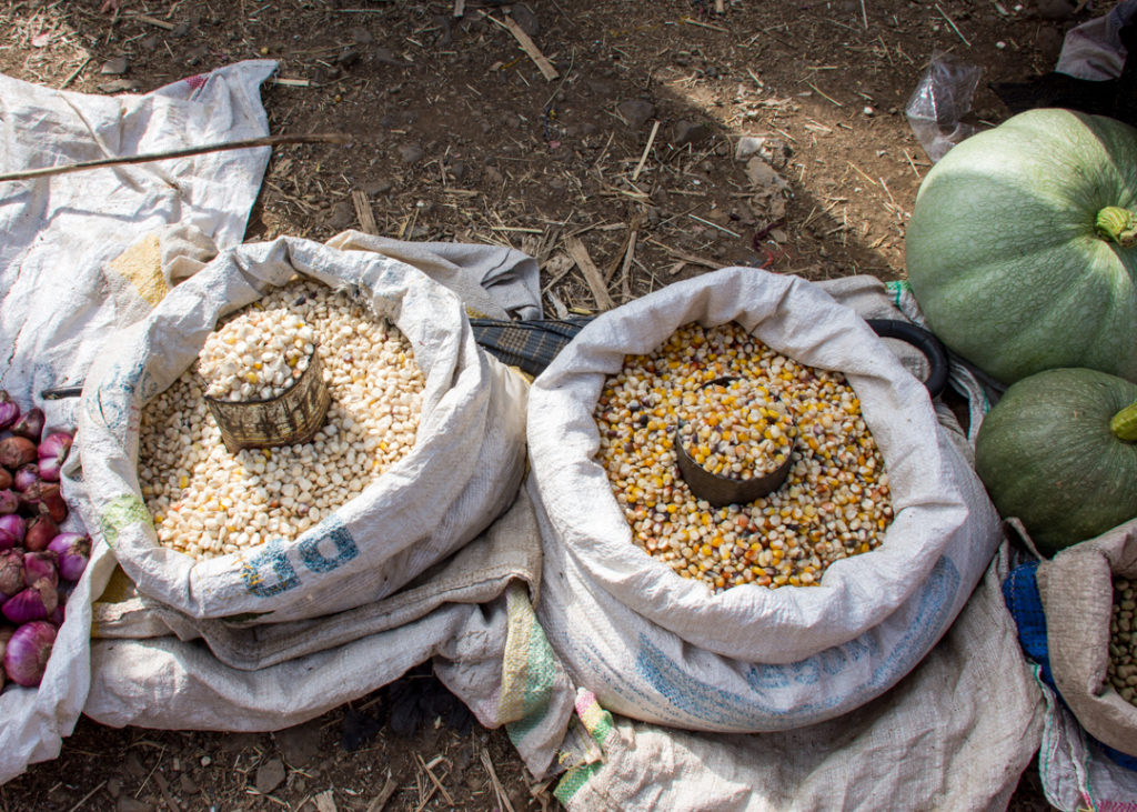 Corn at a local market in Ethiopia