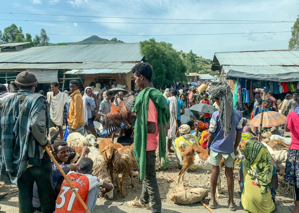 Goats market