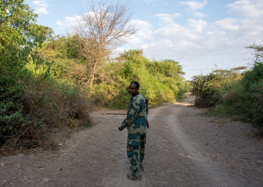 Walking Safari - Awash National Park