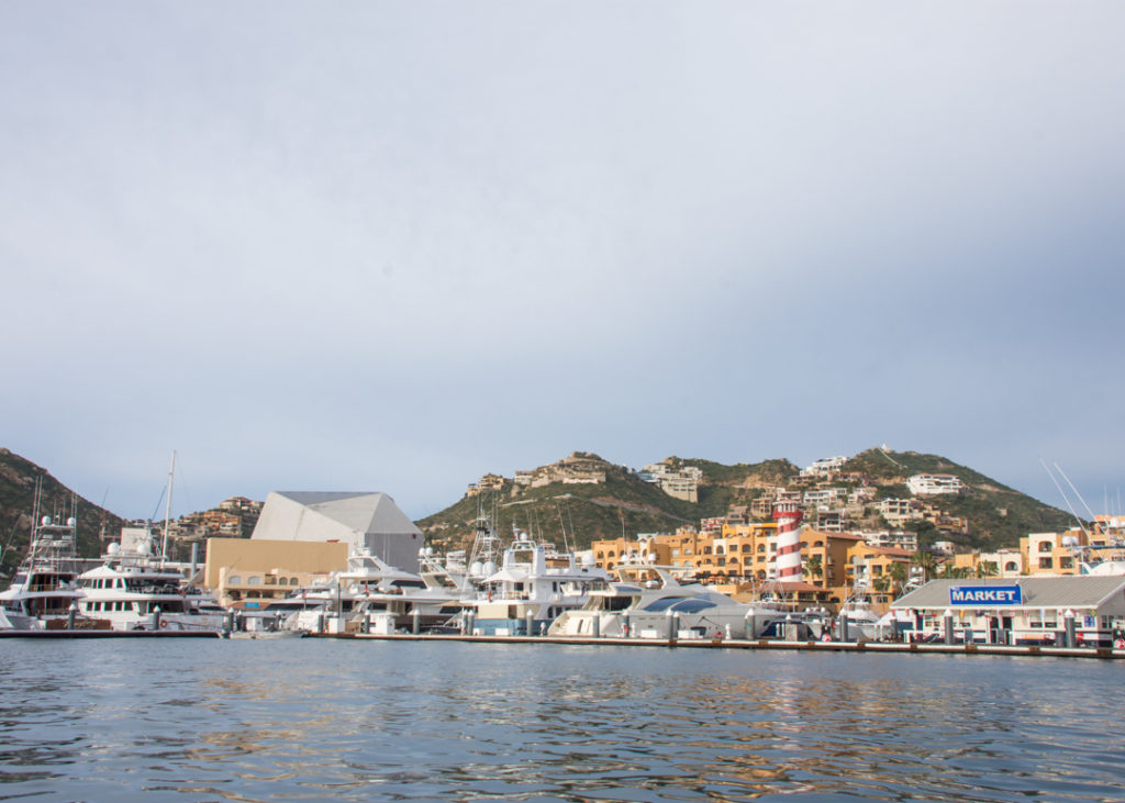 Cabo San Lucas Marina