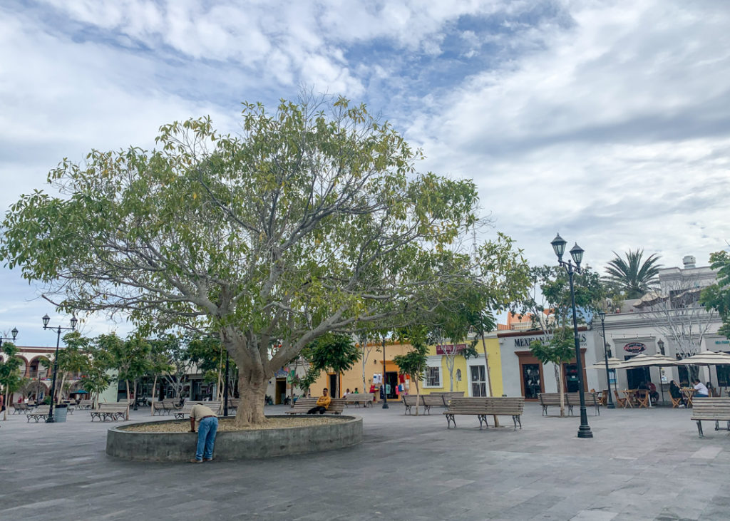 San Jose del Cabo main plaza