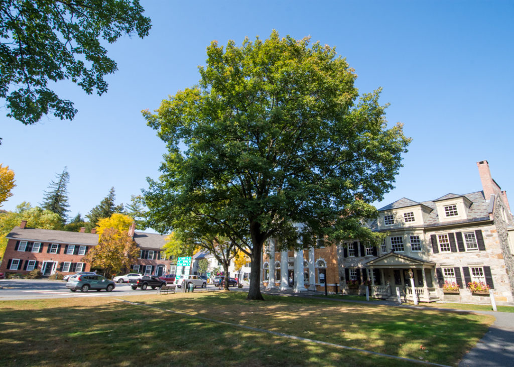 The Green in Woodstock Vermont