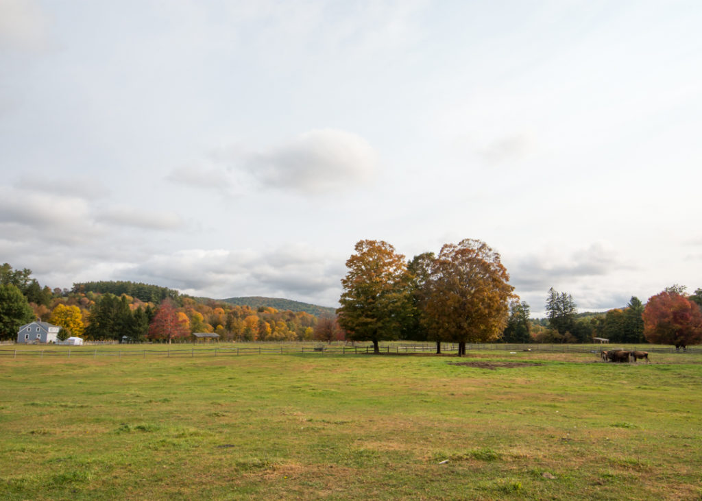 Billings Farm in Woodstock Vermont