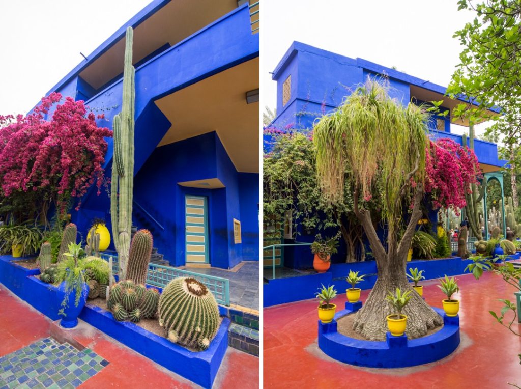 The Majorelle Garden in Marrakech