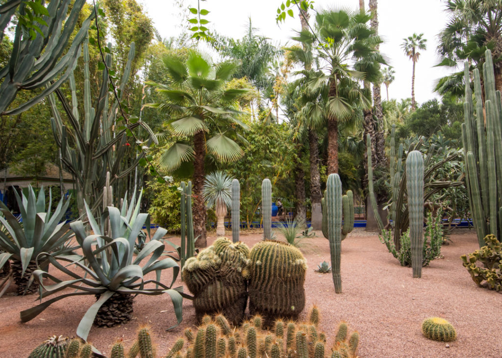 The Majorelle Garden in Marrakech