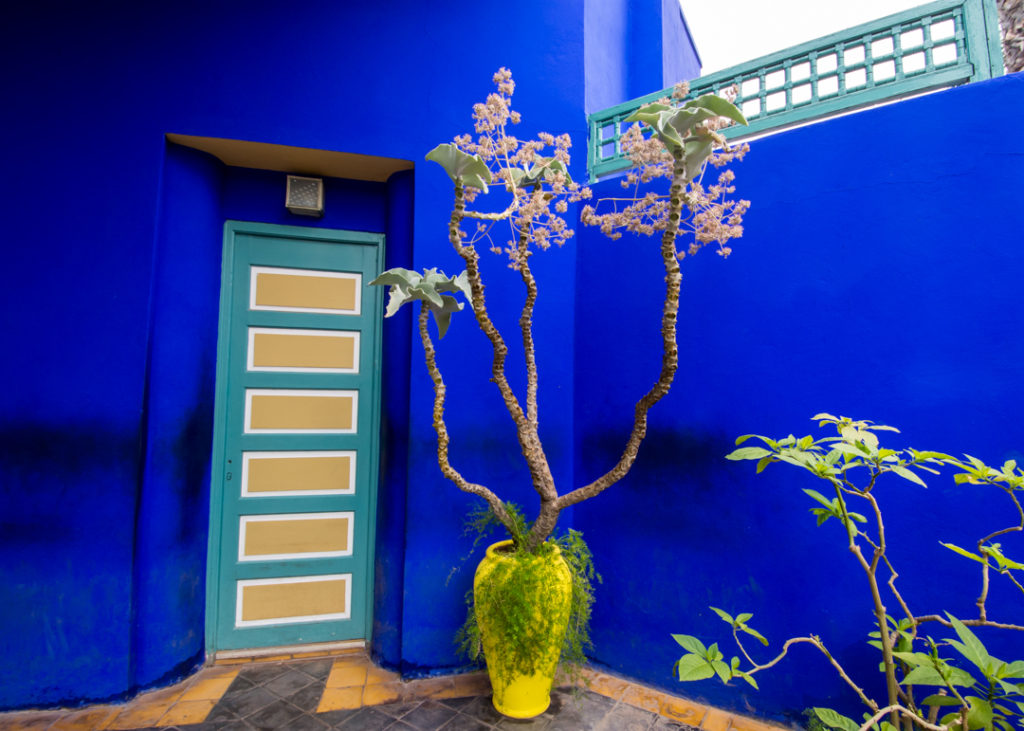 The Majorelle Garden in Marrakech