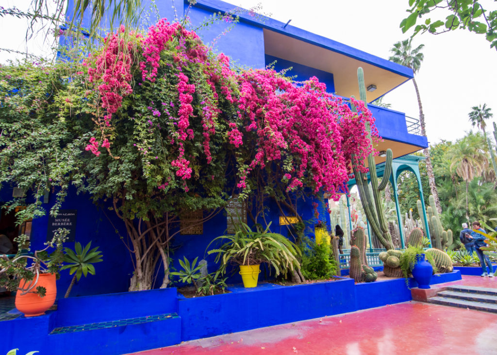 The Majorelle Garden in Marrakech