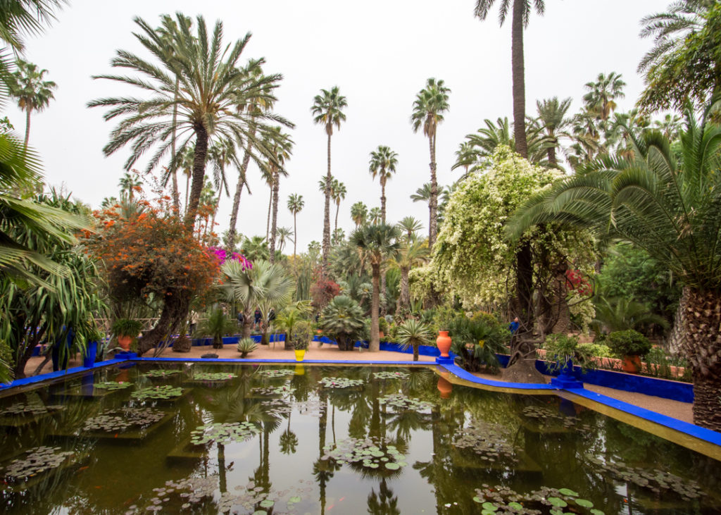 The Majorelle Garden in Marrakech