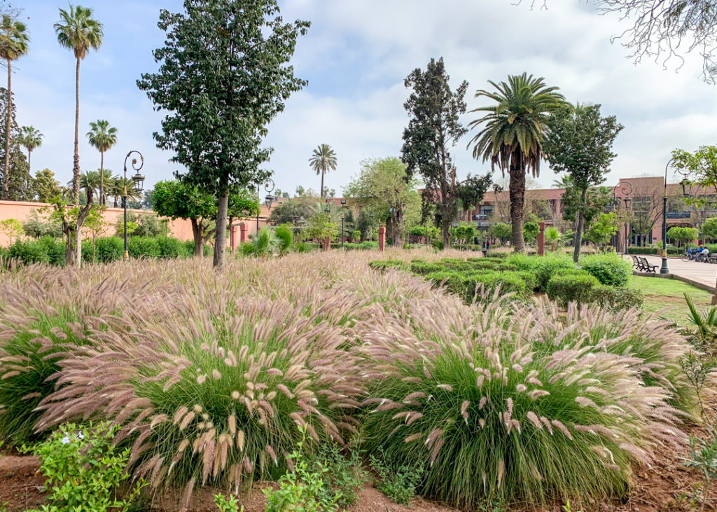 Gardens around Koutoubia Mosque - Marrakech