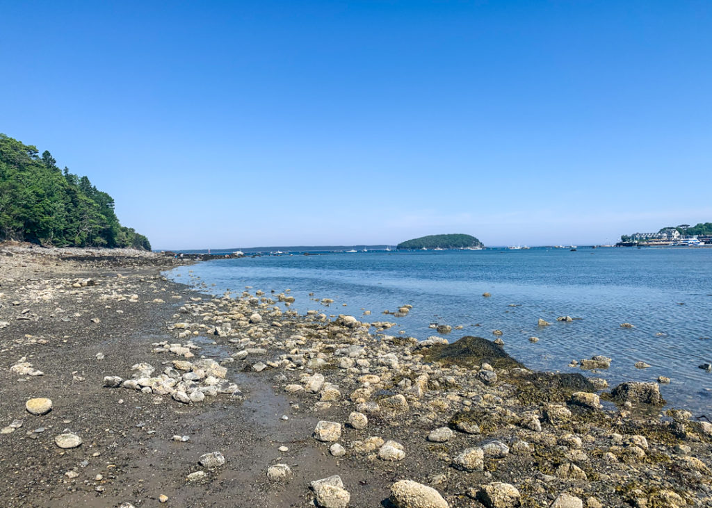 Bar Island in Bar Harbor