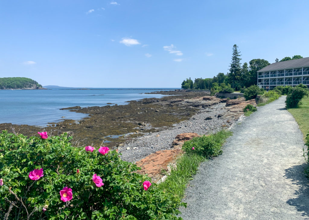 Shore Path in Bar Harbor