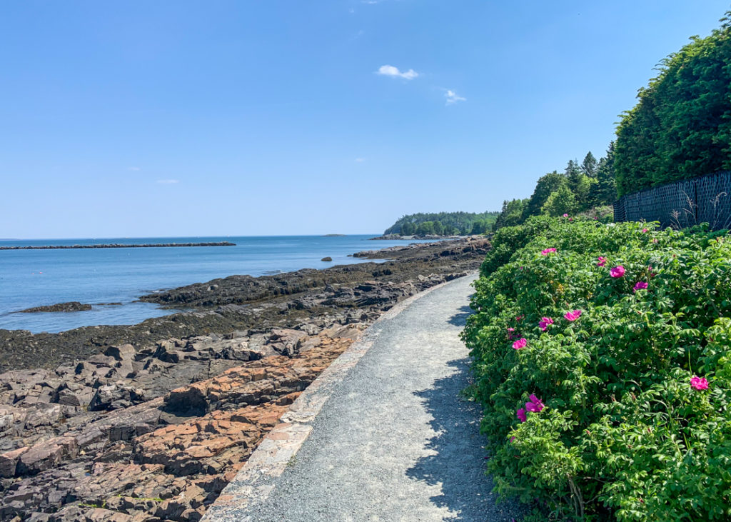 Shore Path in Bar Harbor