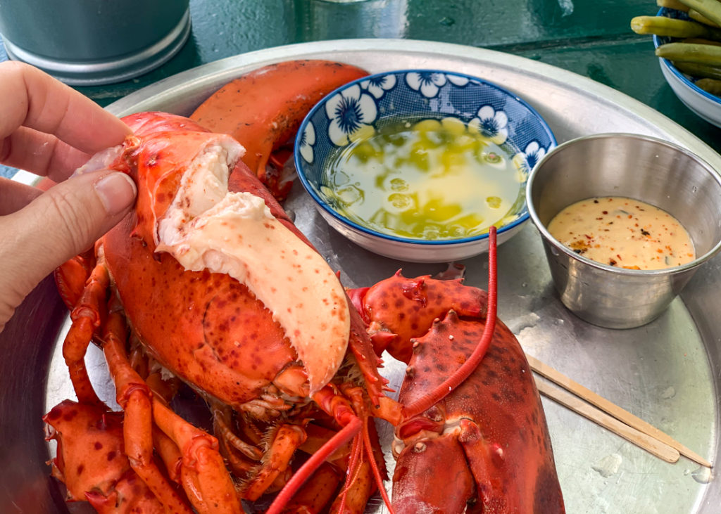 Abel's Lobster - Mount Desert Island