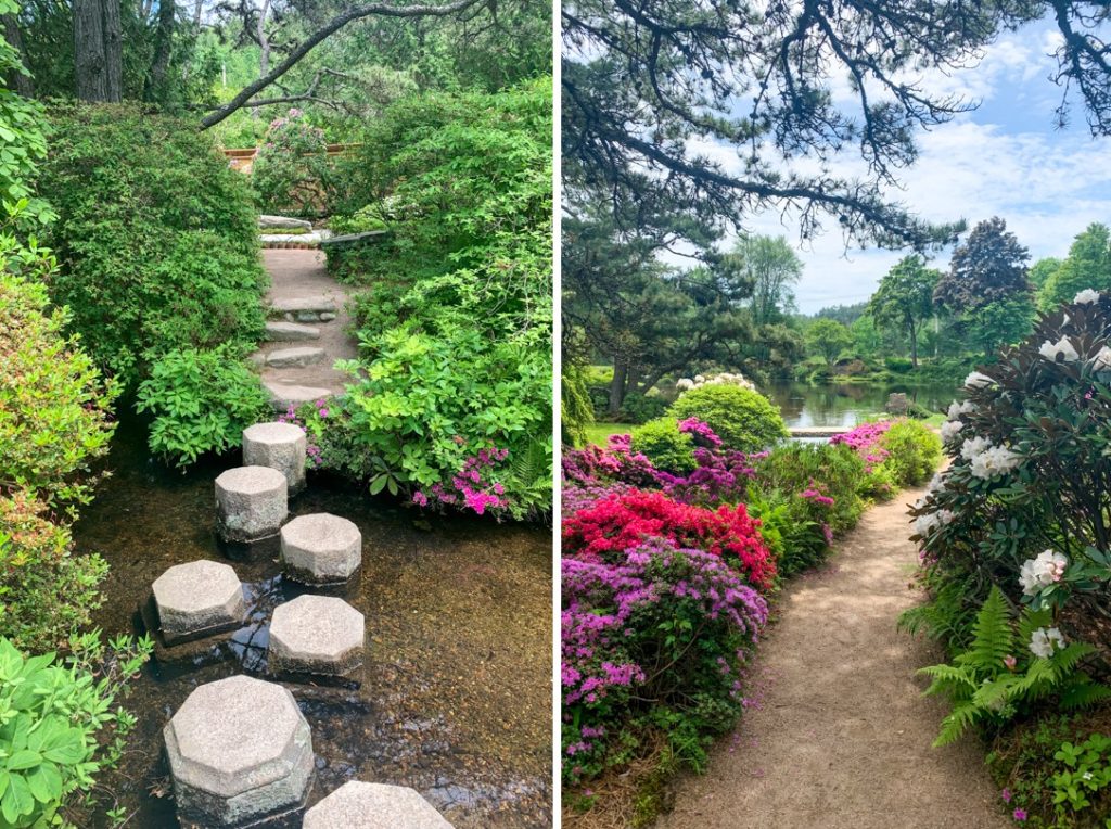 Azalea Garden on Mount Desert Island