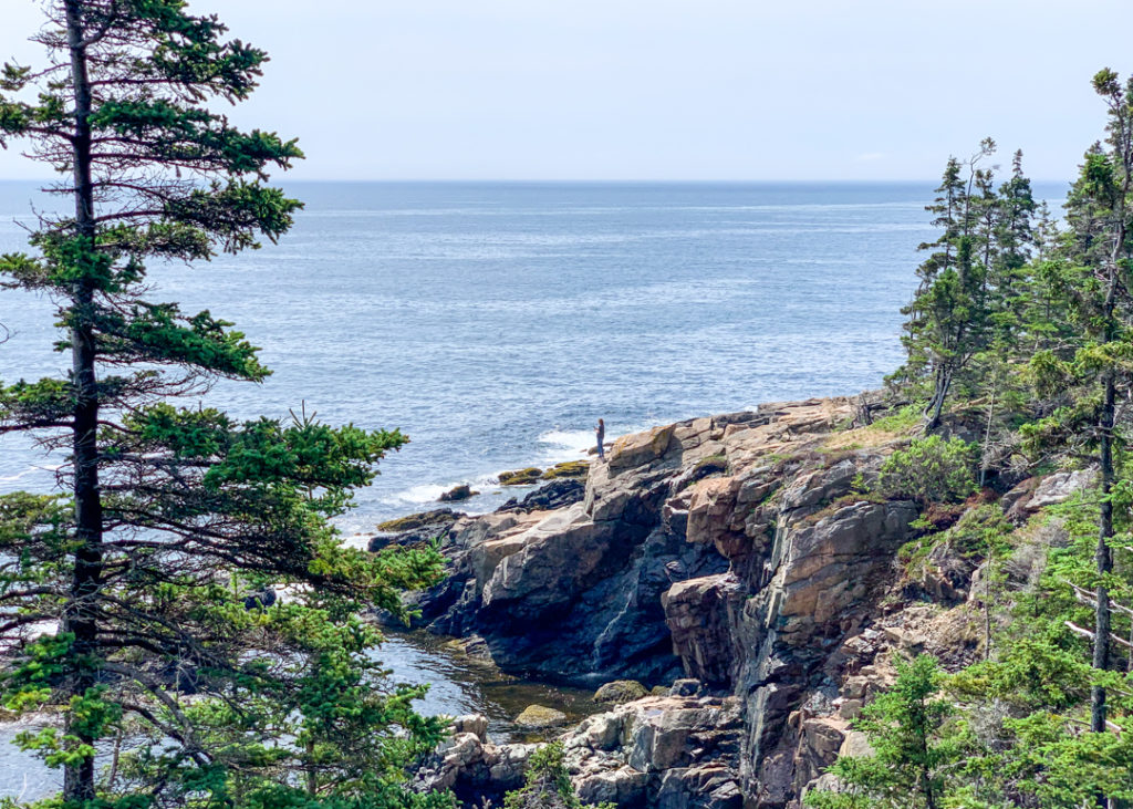 Ocean Path - Acadia National Park