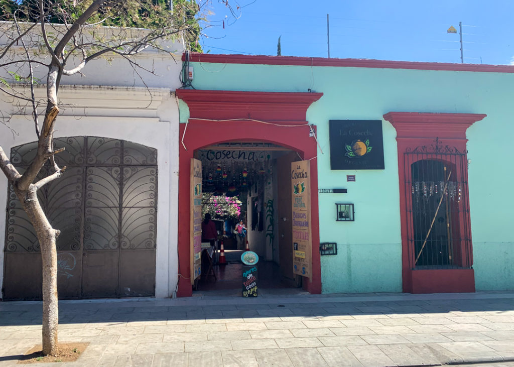 La Cosecha Oaxaca