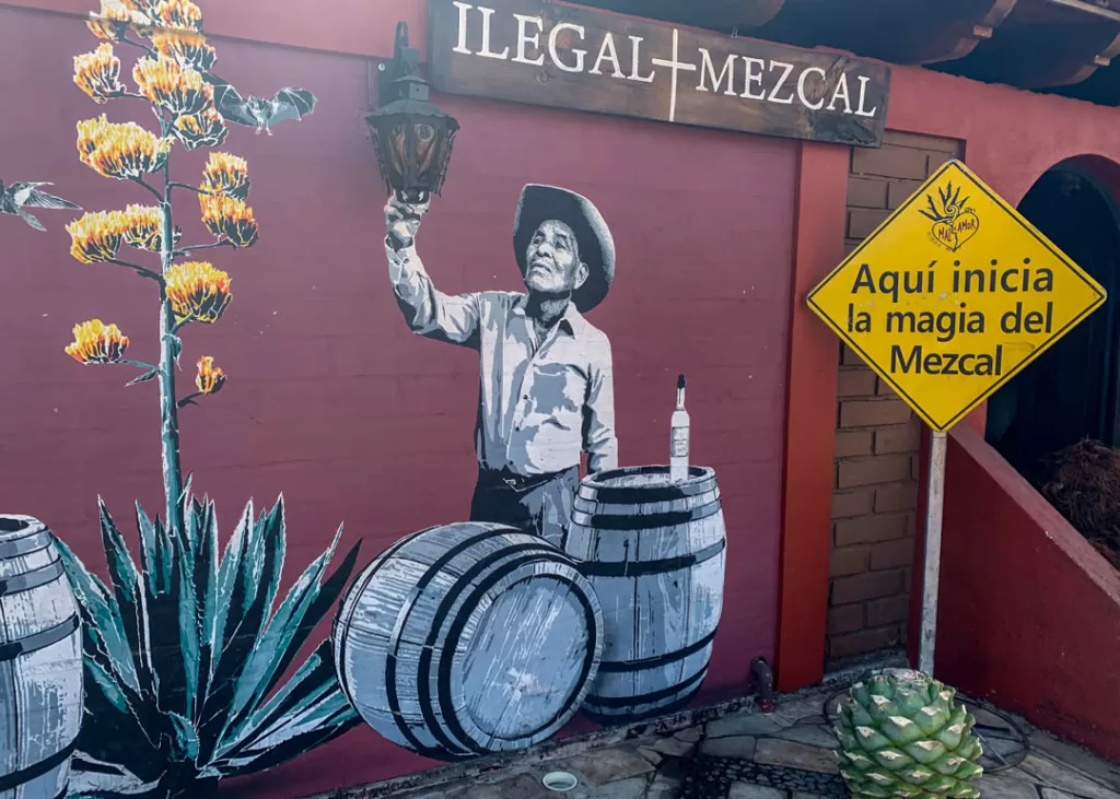 Ilegal Mezcal Tour - Oaxaca