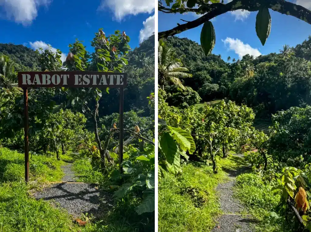 Rabot Estate, Hotel Chocolat St Lucia
