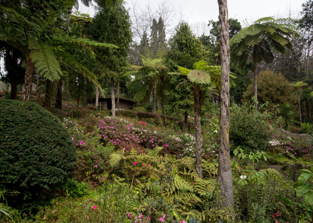 Monte Palace Madeira