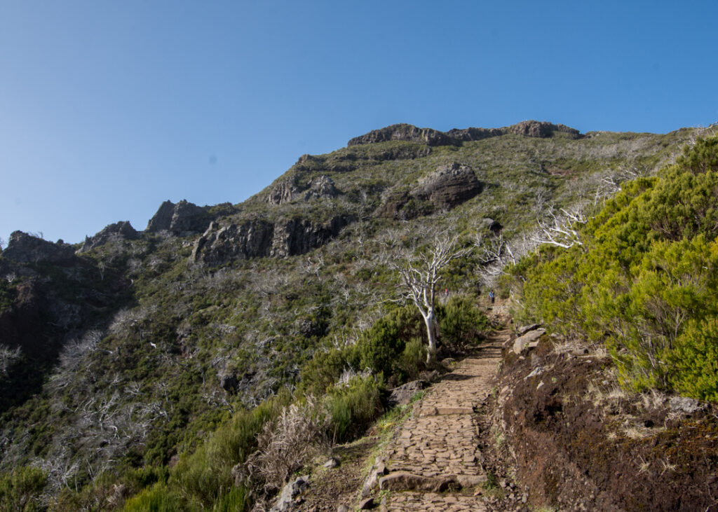 Pico to Pico hike Madeira