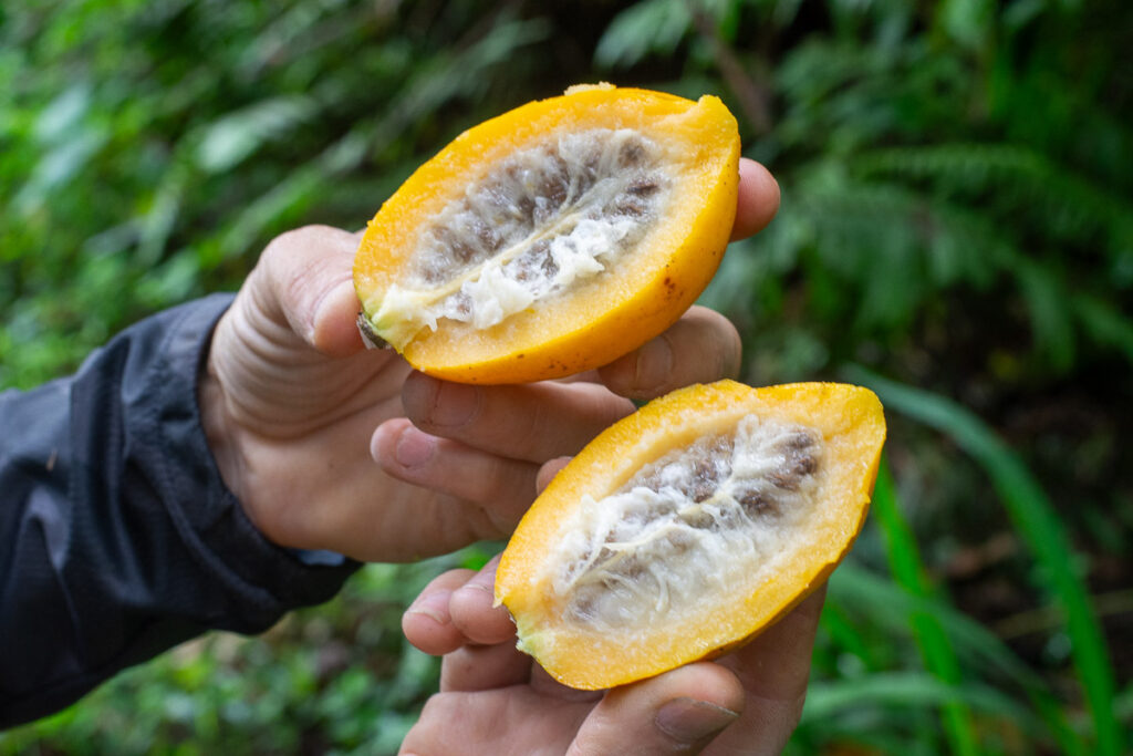 Hike from Cannúa Lodge
