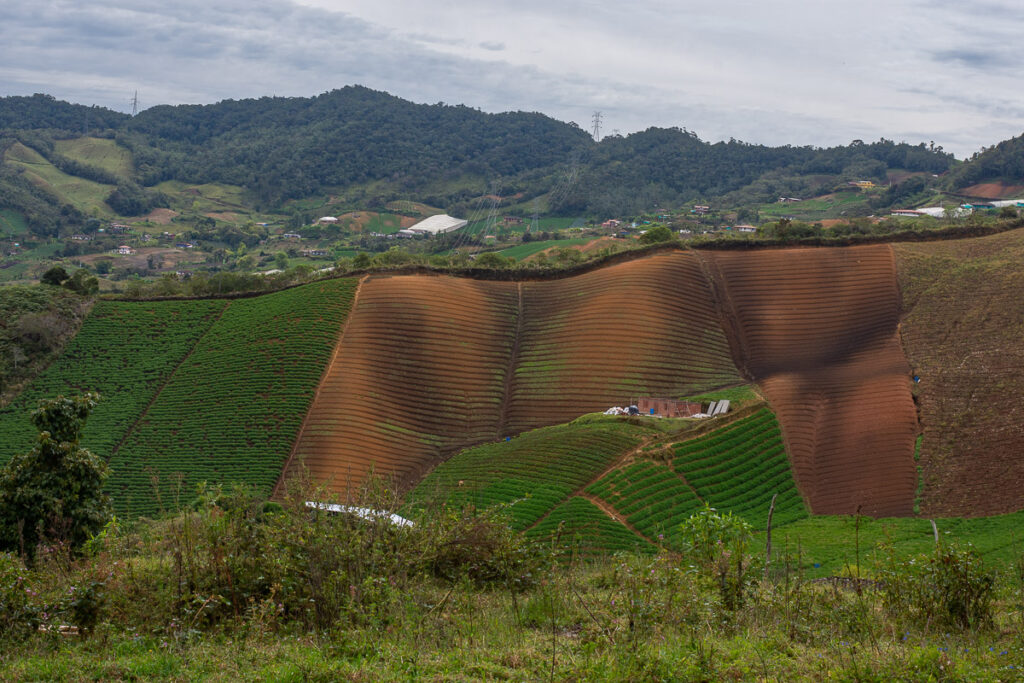 Countryside around Cannúa Ecolodge, Colombia