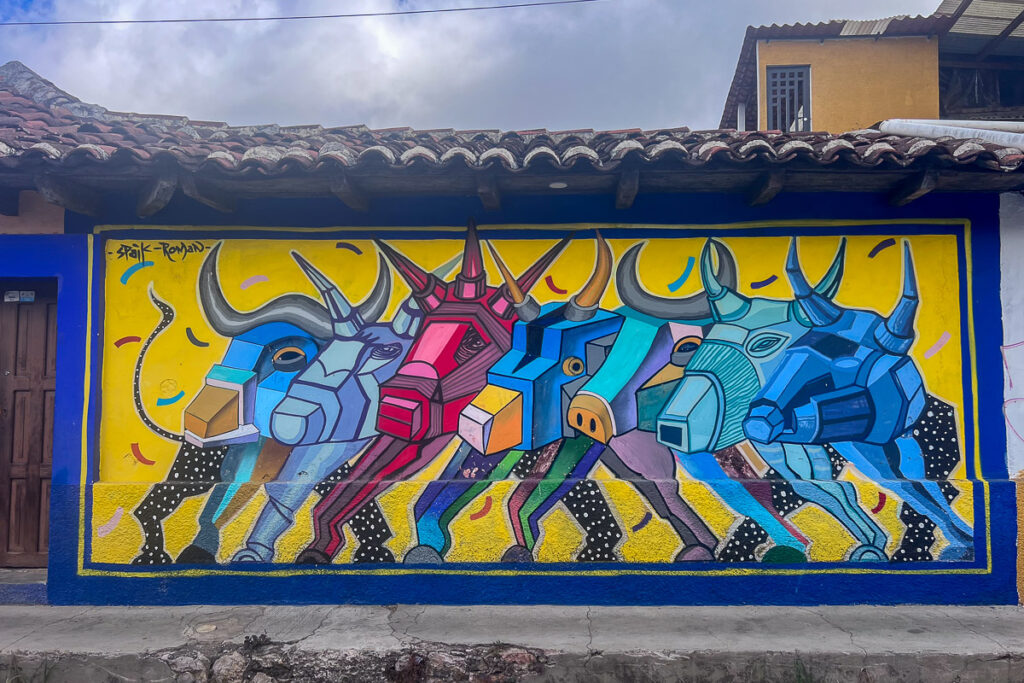 Street art in San Cristobal de las Casas