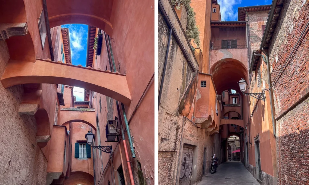 Pisa