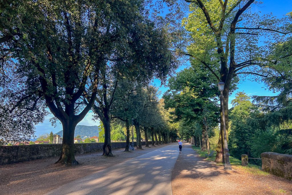 Lucca city walls