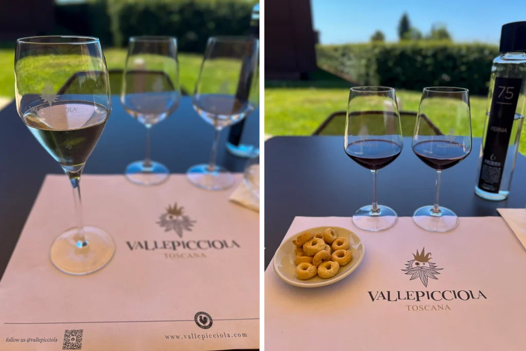 Vallepicciola winery Chianti